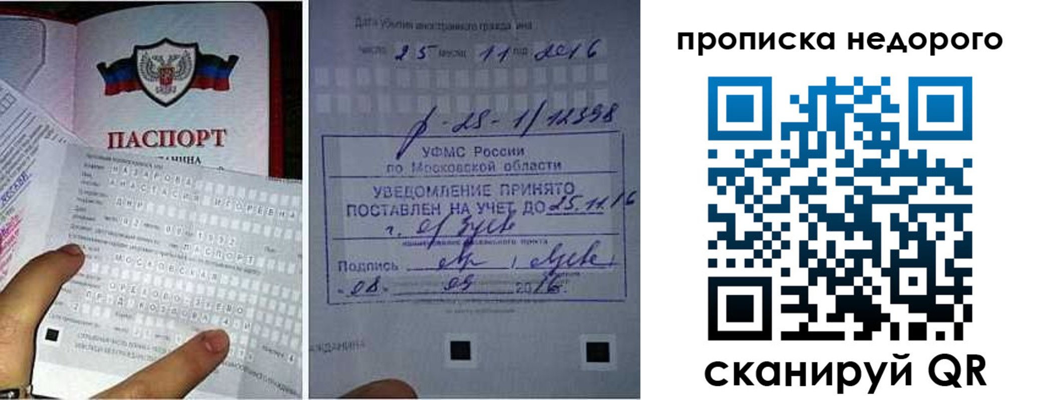 прописка от собственника в Палласовке