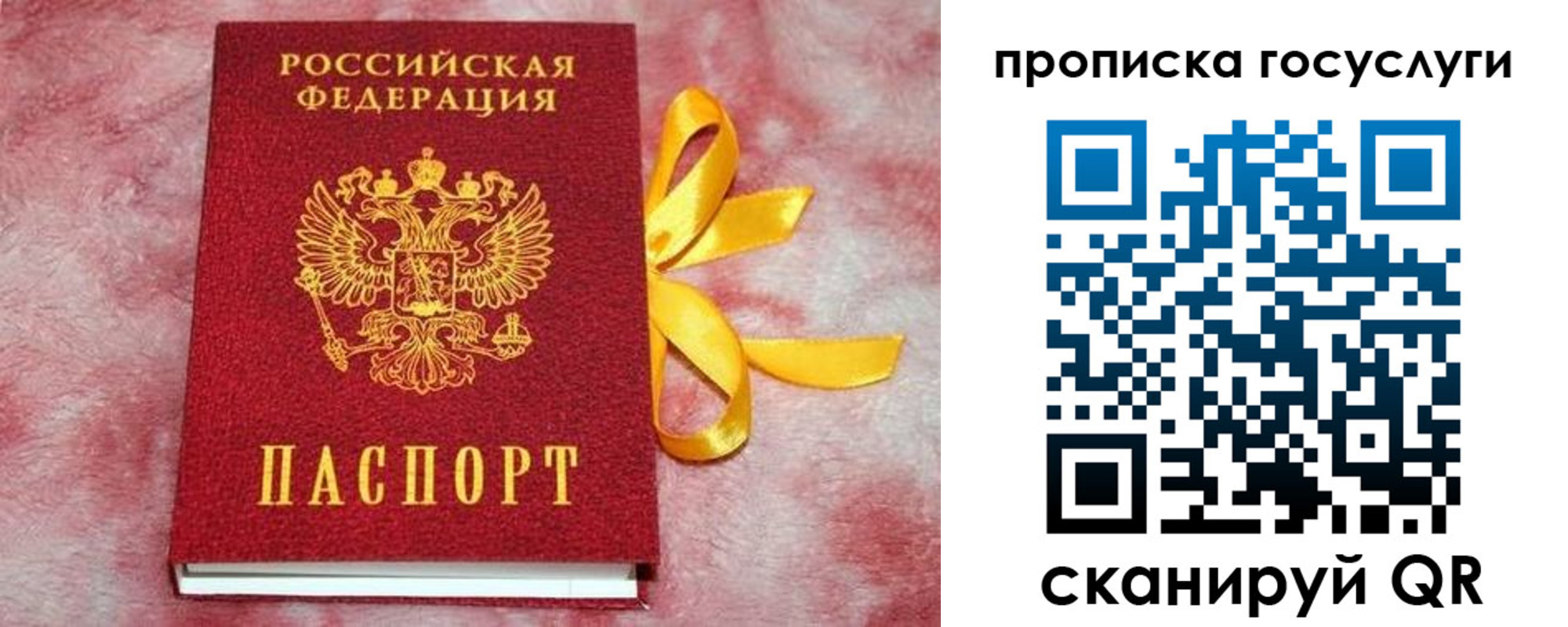 регистрация в Палласовке